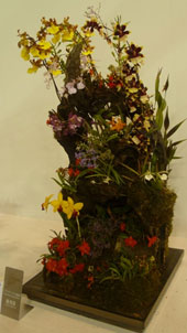 2012年2月例会入賞花画像